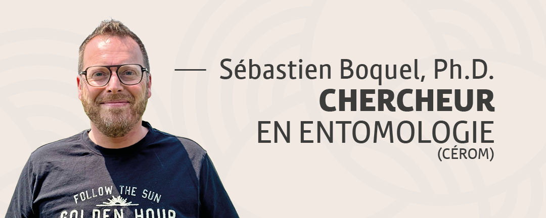 Sébastien Boquel, chercheur en entomologie